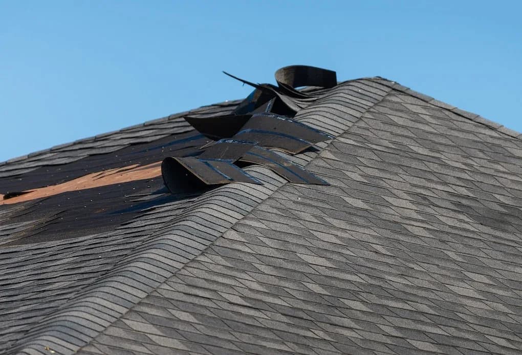 Professional emergency roof repair technician securing storm-damaged roof with tarps