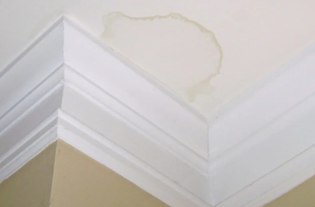 Water stain from roof leak