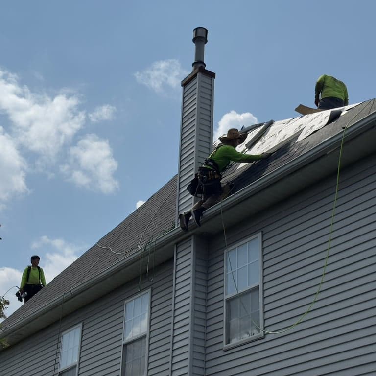 Roof Repair vs. Replacement