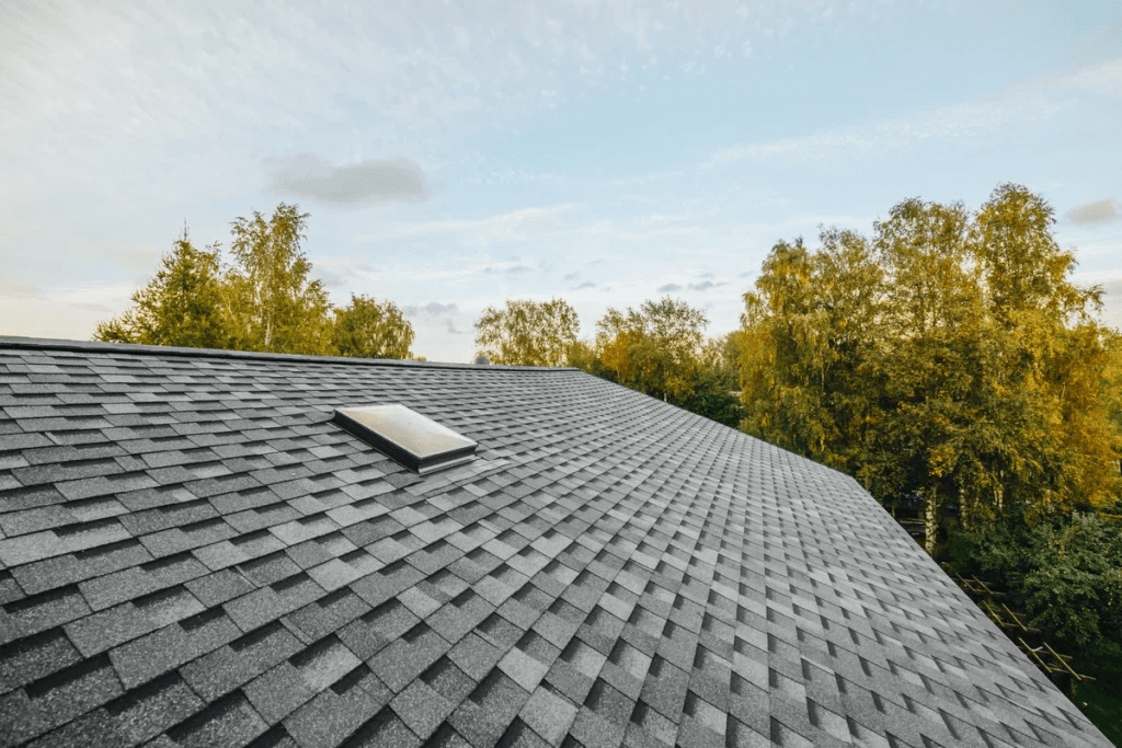 What Is Roof Rejuvenation?